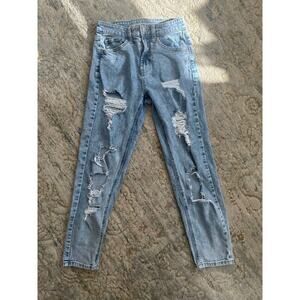 00 Wild Fable distressed jeans